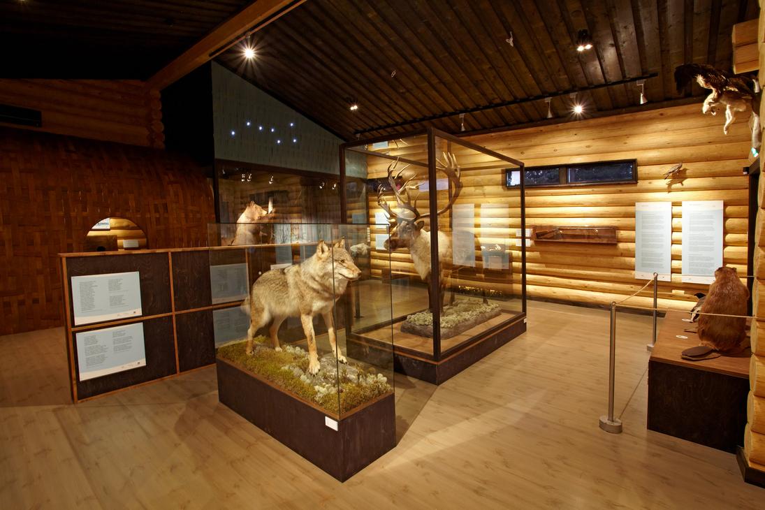 Luontonäyttely hirsirakennuksessa, jossa on täytettyjä eläimiä lasivitriineissä. Etualalla on susi ja taustalla metsäpeura. Hirsisellä seinällä on infotauluja ja oikealla näkyy täytetty majava.