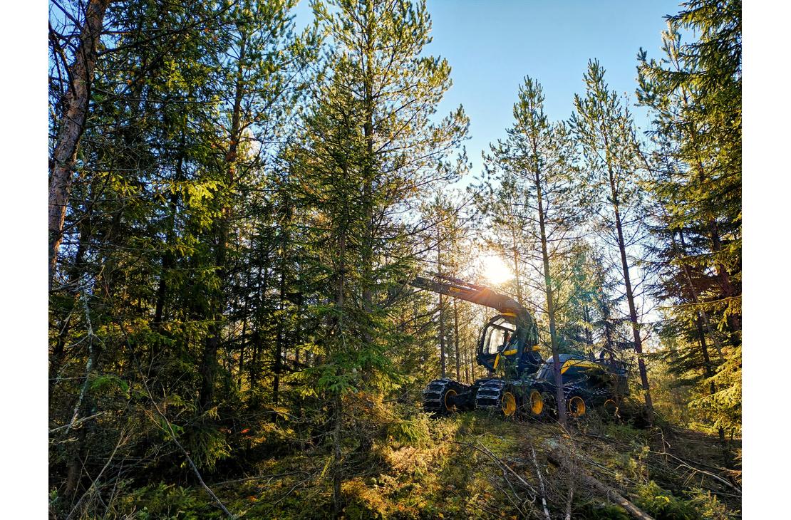 Ensiharvennusmets&auml;ss&auml; oleva Ponsse Scorpion mets&auml;kone.