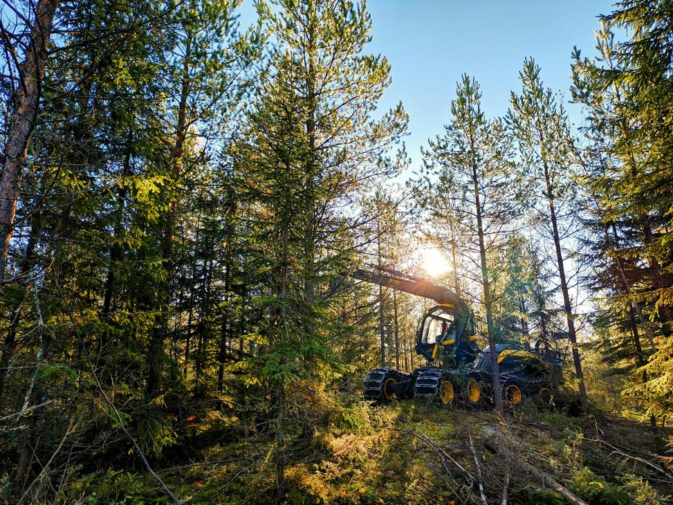 Ensiharvennusmets&auml;ss&auml; oleva Ponsse Scorpion mets&auml;kone.