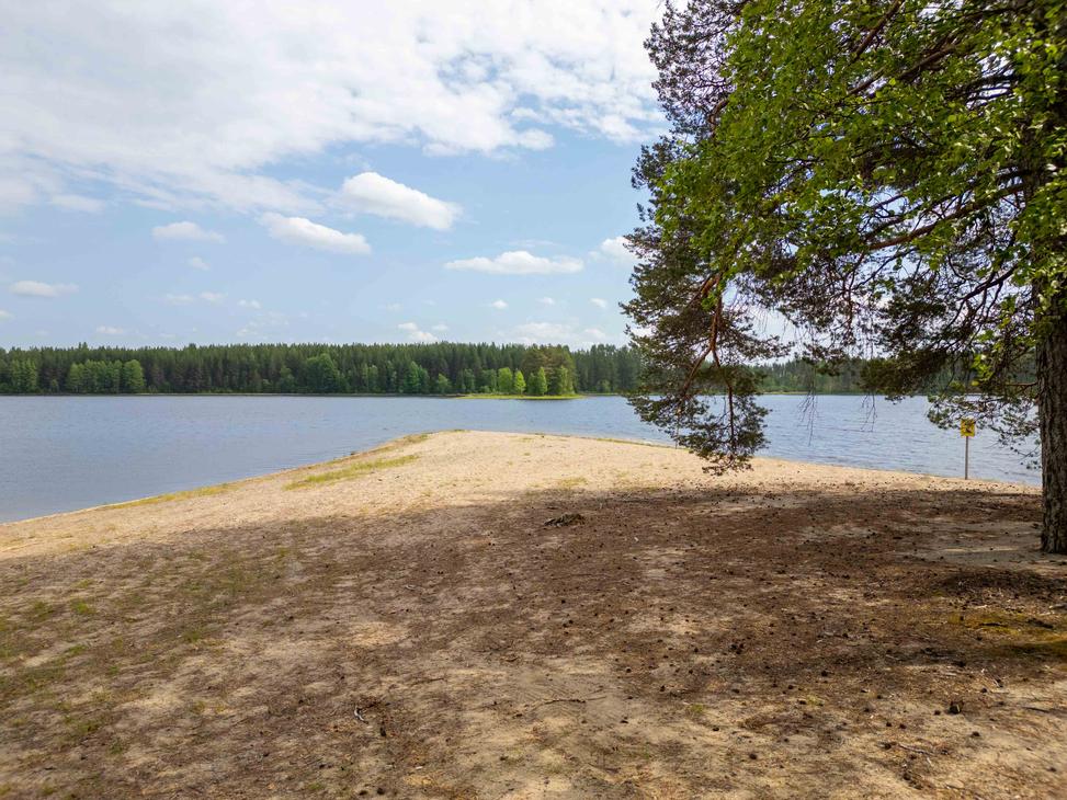 Näkymä rannalta kohti veteen työntyvää hiekkasärkkää. Taustalla siintää tyyni järvifoorumi ja vastarannan vihreä metsä. Oikealla etualalla kaartuvat männynoksat.