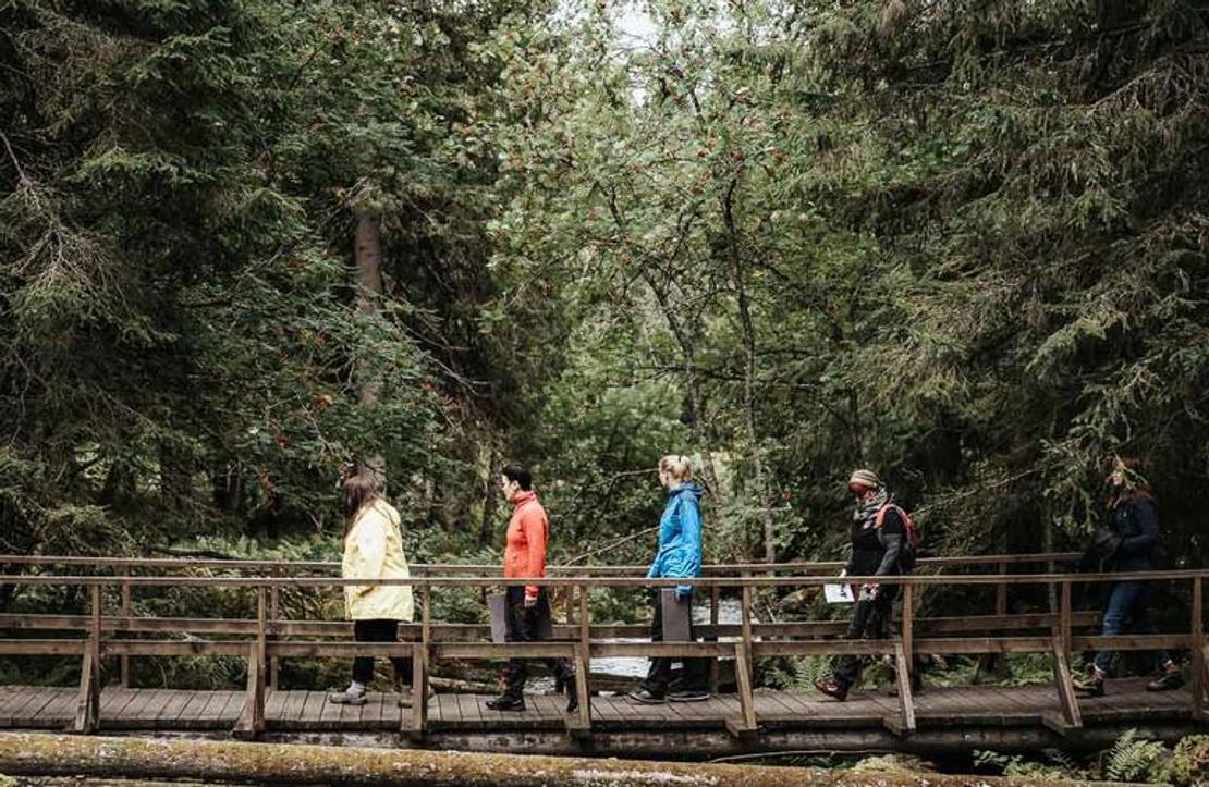 Ryhmä viisi retkeilijää kävelee vasemmalta oikealle puisen sillan tai pitkospuiden yli metsäisessä maisemassa. Henkilöt ovat pukeutuneet värikkäisiin ulkoiluasuihin: keltaiseen, oranssiin, siniseen ja tummiin takkeihin. Silta ylittää epämääräisen vesistön tai maaston. Taustalla on tiheä, tummanvihreä havu- ja sekametsä.