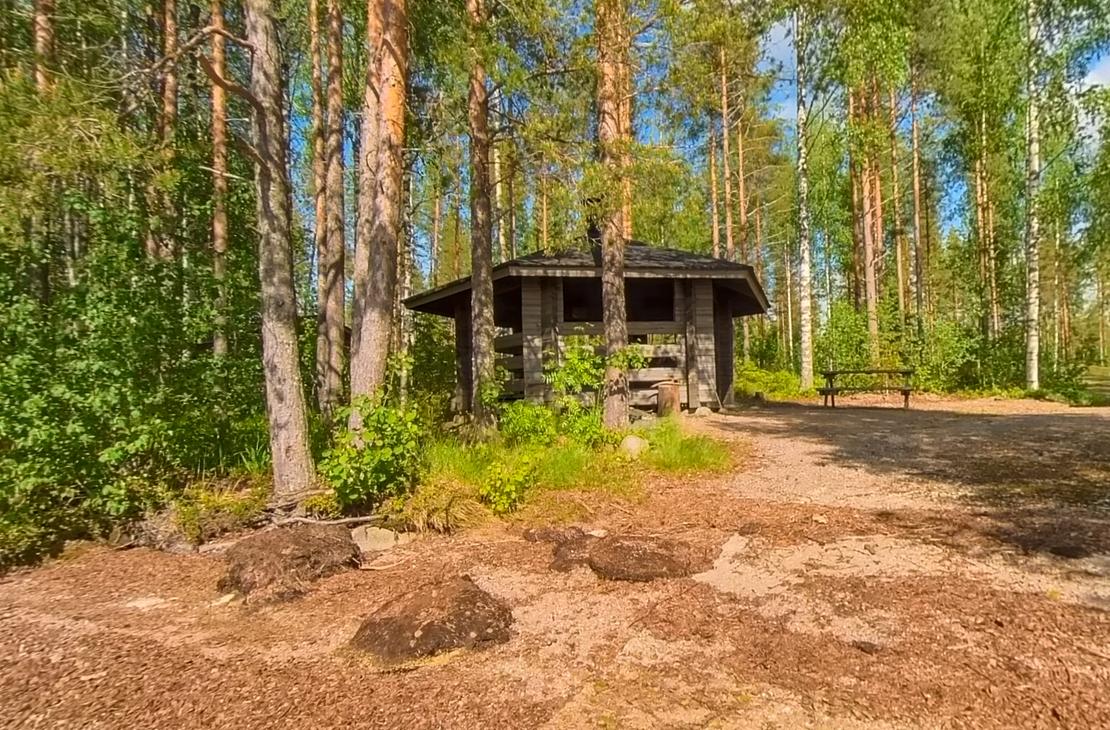 Kuva esittää Petäjäkankaan kotaa, joka on pieni, tumma, hirsinen avokota tai laavu metsän keskellä. Kodalla on harjakatto ja avoin sisäänkäynti. Se sijaitsee ruskealla, hakkeisella maapohjalla, jota ympäröi tiheä, aurinkoinen metsä, jossa on mäntyjä ja koivuja. Kodan edessä näkyy tummia kiviä tai maanalaisia kumpuja.