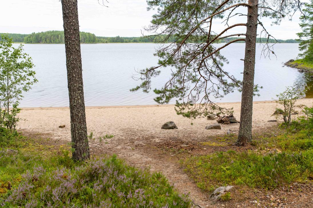 Näkymä kahden männyn rungon välistä vaalealle hiekkarannalle ja tyynelle järvelle. Etualalla on hiekkainen polku ja kanervikkoa.