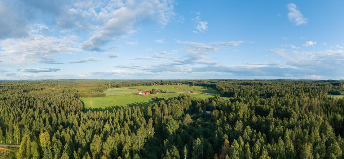 Laaja ilmakuva suomalaisesta maaseutumaisemasta. Etualalla on tiheää havumetsää ja kauempana aukenevat vihreät pellot sekä maalaistalo maatalousrakennuksineen.