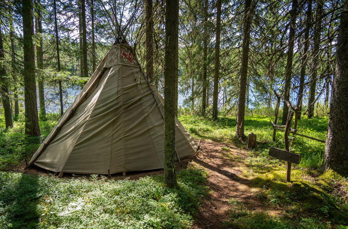 Kangasp&auml;&auml;llysteinen kota pystytettyn&auml; tihe&auml;&auml;n havumets&auml;&auml;n. Kodan yl&auml;osassa on punainen el&auml;inkuvio, ja sen vieress&auml; kulkee polku varvikon halki.