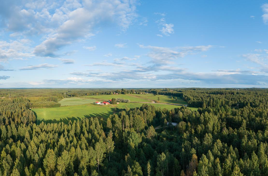 Laaja ilmakuva suomalaisesta maaseutumaisemasta. Etualalla on tiheää havumetsää ja kauempana aukenevat vihreät pellot sekä maalaistalo maatalousrakennuksineen.