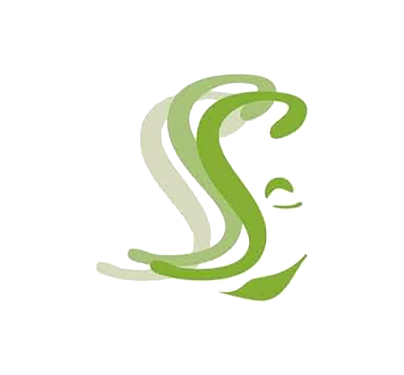 Parturi-kampaamo Soili Heiskanen -yrityksen logo. Logossa on tyylitelty, abstrakti kasvojen ääriviivapiirros, joka on luotu päällekkäisistä S-kirjaimista eri vihreän sävyissä (vaaleanvihreästä kirkkaaseen). S-kirjaimet symboloivat hiuksia tai hiusten liikettä. Oikealla erottuu osa kasvonpiirteistä, kuten silmä ja suu. Logo on valkoisella taustalla.