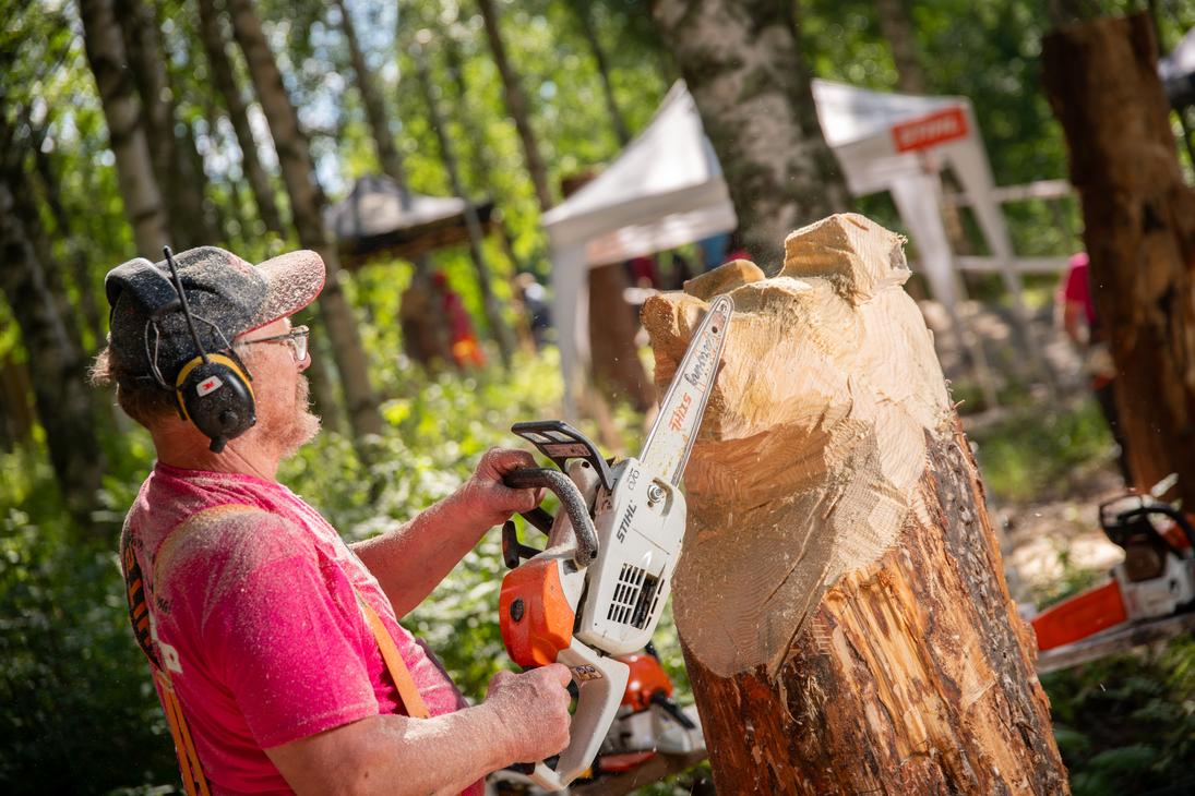 L&auml;hikuva moottorisahaveist&auml;j&auml;st&auml; ty&ouml;n touhussa ulkona aurinkoisessa, mets&auml;isess&auml; ymp&auml;rist&ouml;ss&auml;. Mies on pukeutunut kirkkaan pinkkiin paitaan ja oransseihin henkseleihin, h&auml;nell&auml; on p&auml;&auml;ss&auml;&auml;n lippalakki ja kuulonsuojaimet. H&auml;n on parhaillaan veist&auml;m&auml;ss&auml; suurta, pystyss&auml; olevaa puunrunkoa valkoisella ja oranssilla moottorisahalla. Taustalla n&auml;kyy koivumets&auml;&auml; ja valkoisia telttoja, jotka viittaavat ulkoilmatapahtumaan tai kilpailuun.