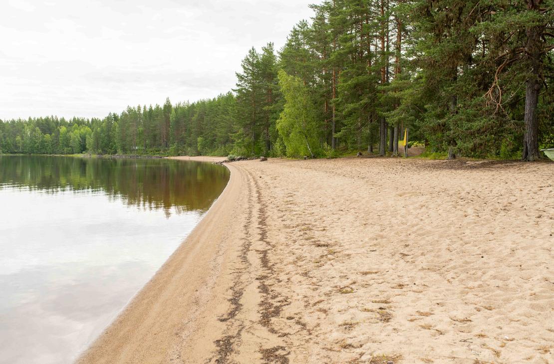 Pitkä hiekkaranta järven rannalla. Rannan vieressä kasvaa tiheä mäntymetsä, ja tyyni vedenpinta peilaa vastarannan puita.