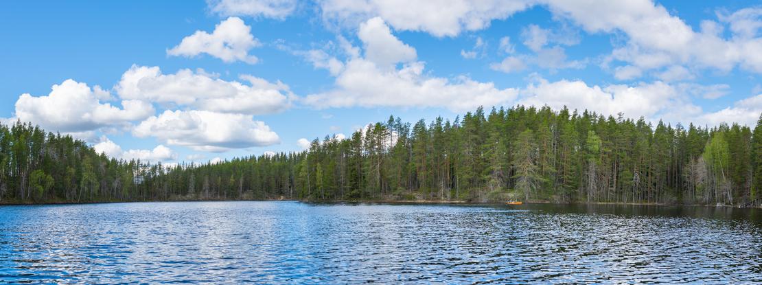 Laaja panoraamakuva, joka esitt&auml;&auml; Petkelj&auml;rvi Centerin aluetta ja sen l&auml;hiymp&auml;rist&ouml;&auml; aurinkoisena p&auml;iv&auml;n&auml;. Etualalla on sininen j&auml;rvenpinta, ja sen vastarannalla on tihe&auml;, tummanvihre&auml; mets&auml;, joka ulottuu horisonttiin. Taivaalla on kirkas sininen v&auml;ri ja muutama hajanainen, valkoinen pilvi. Maisema on tyypillinen Petkelj&auml;rven kansallispuiston j&auml;rvialueelle.