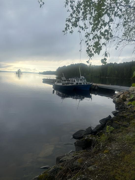 Iltapäivän valossa otettu kuva tyynestä rannasta, jossa sininen vene on kiinnitettynä laituriin puiden katveessa.