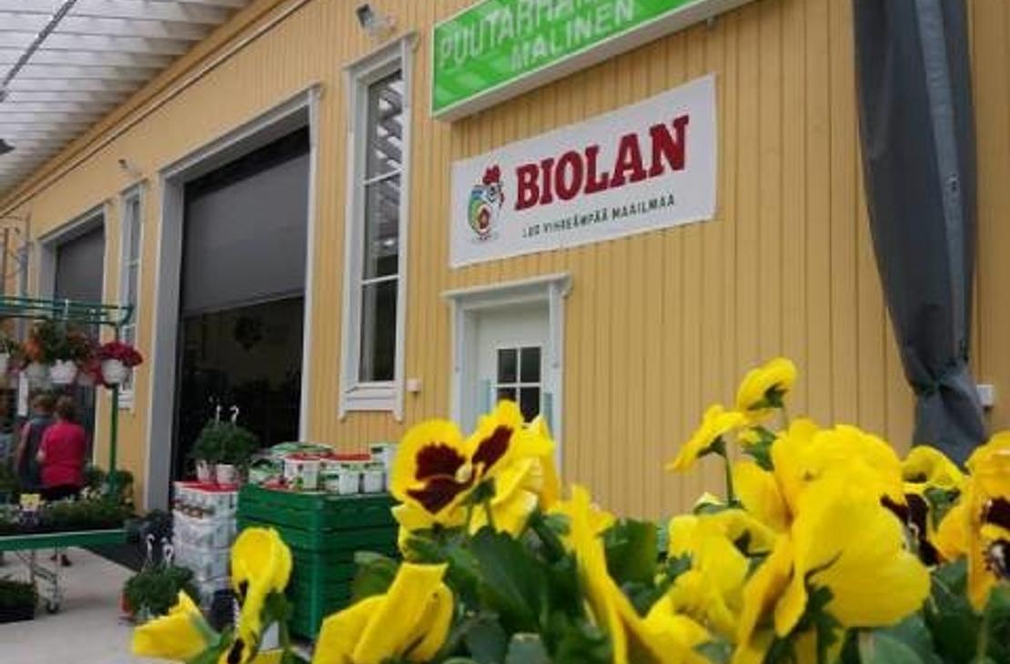 Kuva esittää kukkakaupan tai puutarhamyymälän ulkopintaa, joka on maalattu kirkkaan keltaisella laudoituksella. Etualalla näkyy suuri ruukku täynnä kirkkaan keltaisia orvokkeja tummanpunaisilla keskuksilla. Seinällä on kyltit: ylhäällä vihreällä pohjalla valkoinen teksti "PUUTARHAMYYMÄLÄ MALINEN" ja sen alla punaisella pohjalla valkoinen teksti "BIOLAN" logollaan. Vasemmalla näkyy sisäänkäynti ja viherkasveja myynnissä.