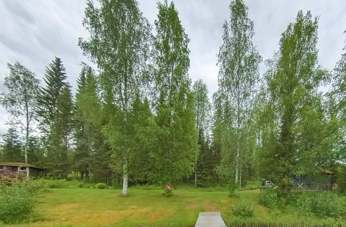 Kuva esittää kesäistä maisemaa, jossa puinen laituri ulottuu etualalla tummaan veteen. Laiturilta avautuu näkymä vihreälle nurmialueelle, jota reunustavat korkeat, hoikat koivut ja taempana tiheämpi sekametsä. Taivas on pilvinen, ja nurmikolla koivujen välissä näkyy pieni, ruskea rakennelma tai esine.