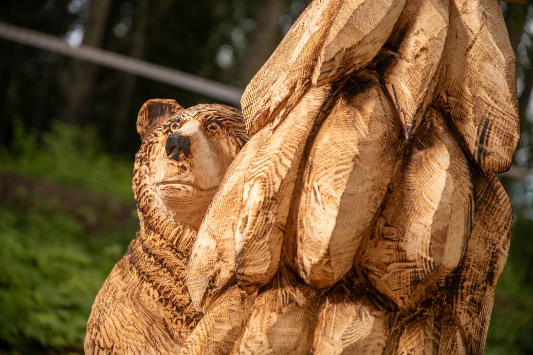Lähikuva moottorisahalla veistetystä karhupatsaasta. Patsas on veistetty puusta, ja sen pinta on jätetty osittain karkeaksi ja osittain poltettu tummemmaksi yksityiskohtien korostamiseksi (esim. karhun turkki). Karhun ilme on tarkkaavainen, ja se kurkistaa suuren, karkeasti veistetyn esineen takaa. Taustalla näkyy epätarkkana vihreää kasvillisuutta ja puita.