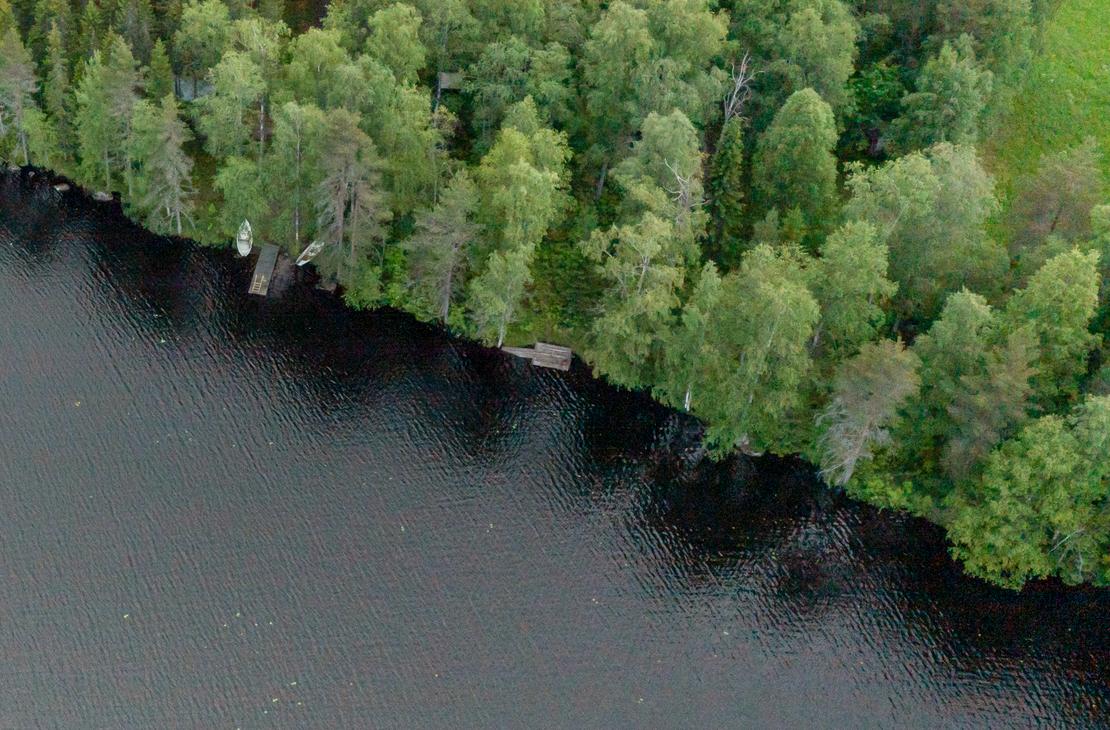 Ilmakuva tai korkealta otettu kuva, joka näyttää tumman järvenrannan tai joen. Etualalla on tummaa vettä, ja taaempana tiheä, vihreä metsä reunustaa rantaa. Rantaviivan tuntumassa metsän suojassa näkyy pieniä, puunvärisiä rakennelmia, mahdollisesti laitureita tai saunoja. Metsän takana ylhäällä oikealla näkyy hieman aukeaa, vaaleanvihreää aluetta.