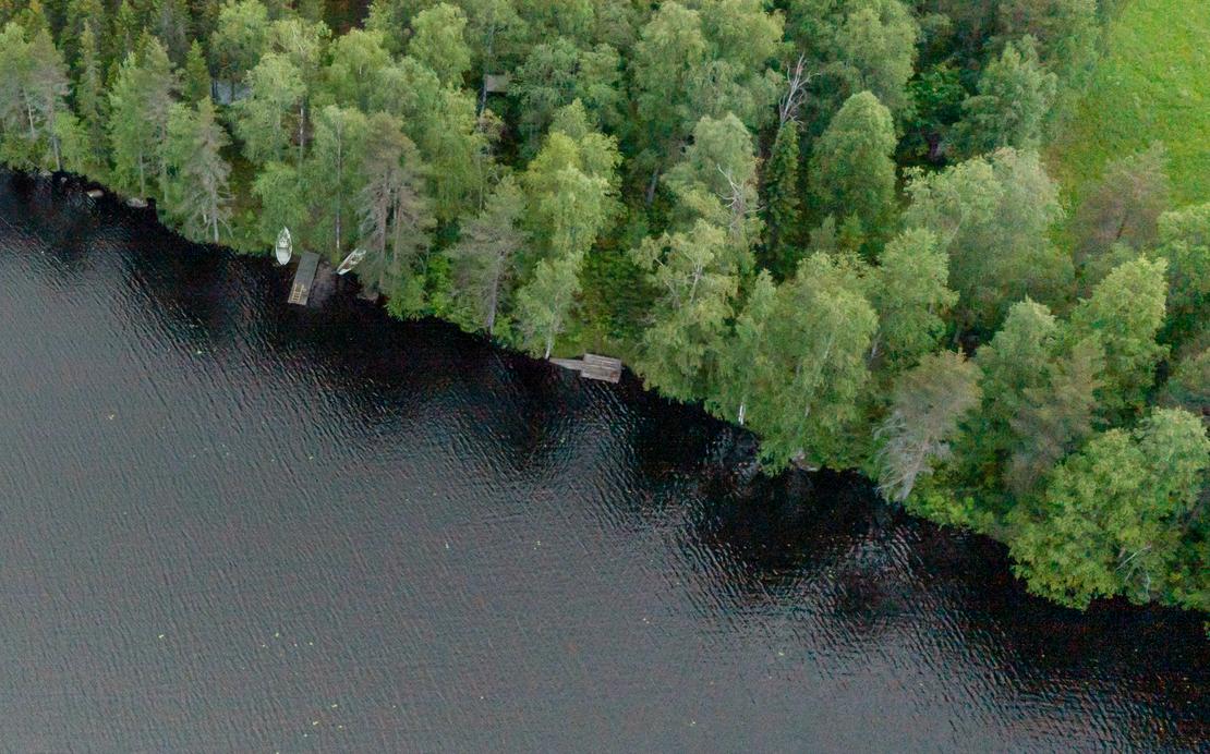 Ilmakuva tai korkealta otettu kuva, joka n&auml;ytt&auml;&auml; tumman j&auml;rvenrannan tai joen. Etualalla on tummaa vett&auml;, ja taaempana tihe&auml;, vihre&auml; mets&auml; reunustaa rantaa. Rantaviivan tuntumassa mets&auml;n suojassa n&auml;kyy pieni&auml;, puunv&auml;risi&auml; rakennelmia, mahdollisesti laitureita tai saunoja. Mets&auml;n takana ylh&auml;&auml;ll&auml; oikealla n&auml;kyy hieman aukeaa, vaaleanvihre&auml;&auml; aluetta.