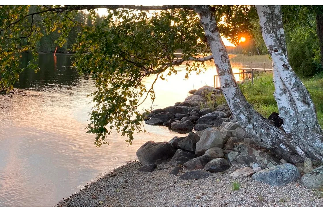 Kuva esitt&auml;&auml; Havukkarannan rantamaisemaa auringonlaskun aikaan. Etualalla on kivinen ranta ja kaksi hoikkaa, valkoista koivunrunkoa, joiden lehdet roikkuvat kuvan yl&auml;reunassa. Vesi on tyyni ja heijastaa pehme&auml;&auml;, kultaista auringonvaloa. Taustalla auringonlasku n&auml;kyy puiden v&auml;list&auml;. Rantaviiva on kivetty ja maassa on soraa.