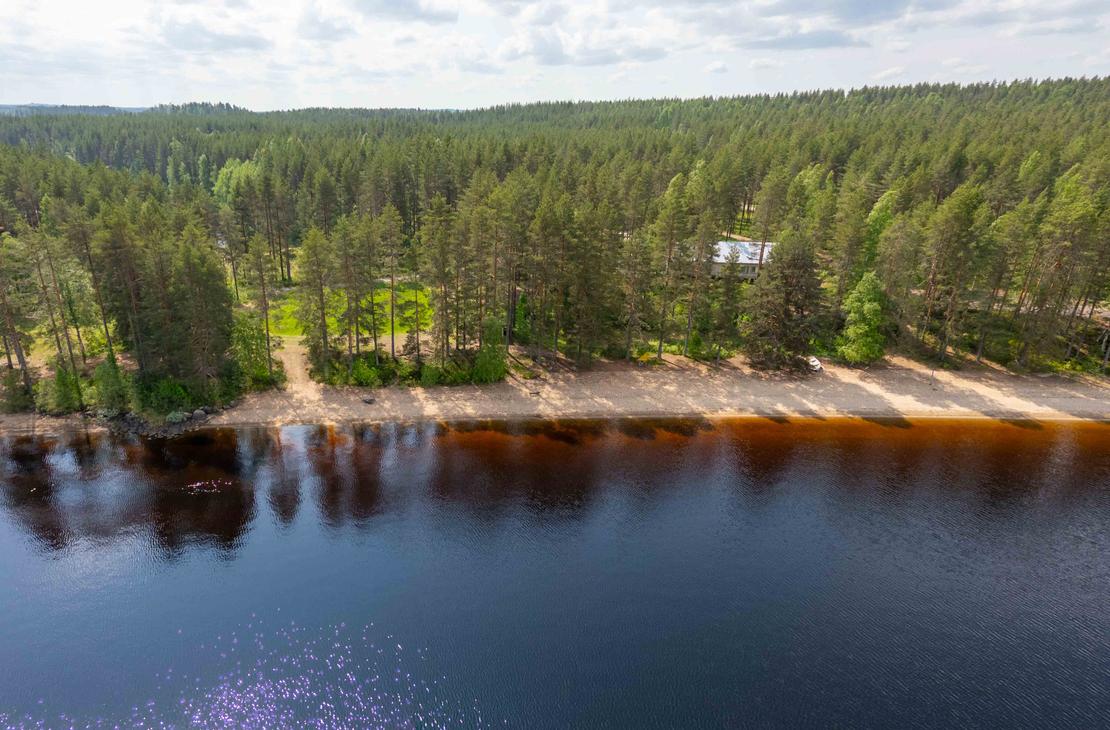 Panoraamailmakuva pitkästä hiekkarannasta, joka rajoittuu tiheään mäntymetsään. Aurinko heijastuu tumman järven pintaan ja taustalla siintää laaja metsämaisema.