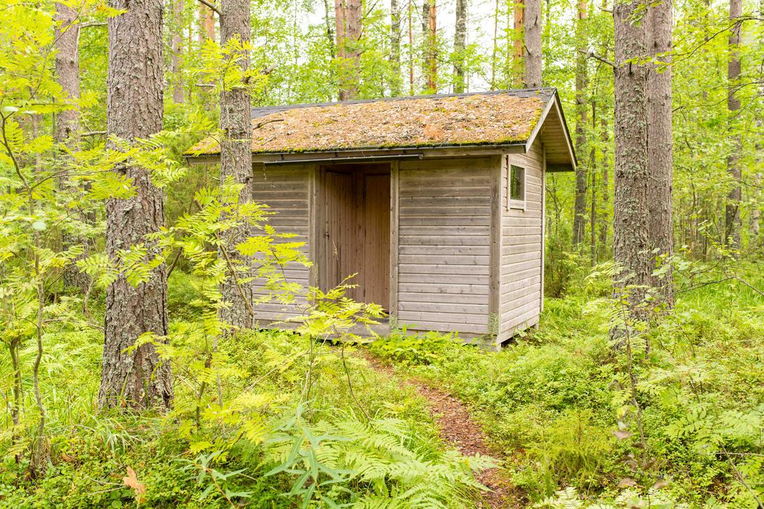 Pieni, harmaa puinen ulkorakennus tai kuivakäymälä tiheän vihreän metsän ja saniaisten keskellä. Rakennukseen johtaa kapea polku.