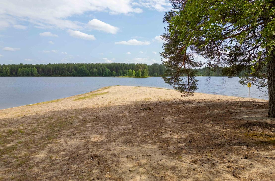 Näkymä rannalta kohti veteen työntyvää hiekkasärkkää. Taustalla siintää tyyni järvifoorumi ja vastarannan vihreä metsä. Oikealla etualalla kaartuvat männynoksat.