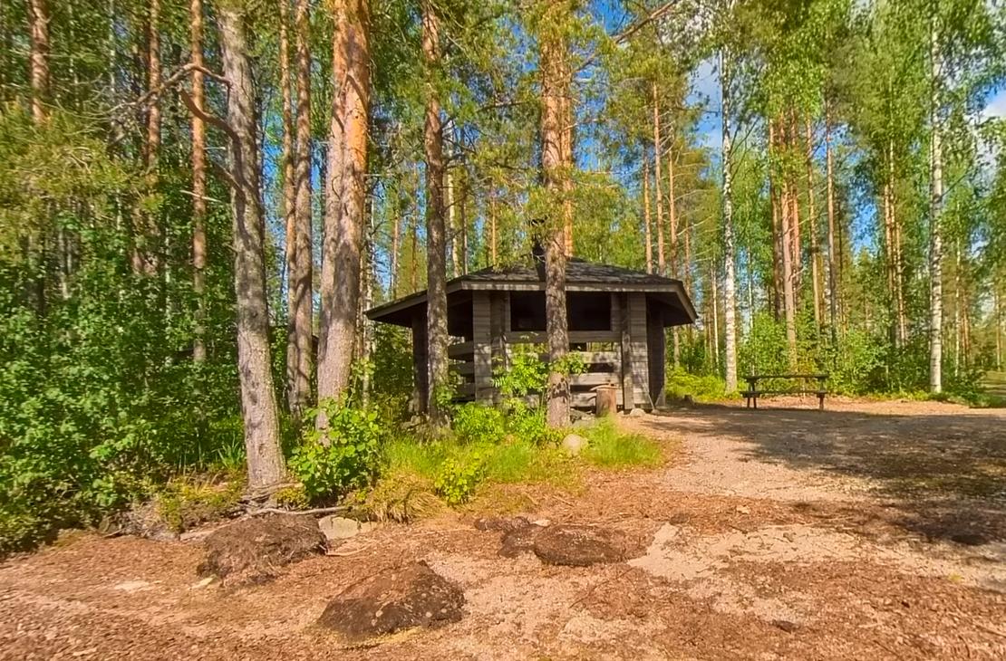 Kuva esittää Petäjäkankaan kotaa, joka on pieni, tumma, hirsinen avokota tai laavu metsän keskellä. Kodalla on harjakatto ja avoin sisäänkäynti. Se sijaitsee ruskealla, hakkeisella maapohjalla, jota ympäröi tiheä, aurinkoinen metsä, jossa on mäntyjä ja koivuja. Kodan edessä näkyy tummia kiviä tai maanalaisia kumpuja.