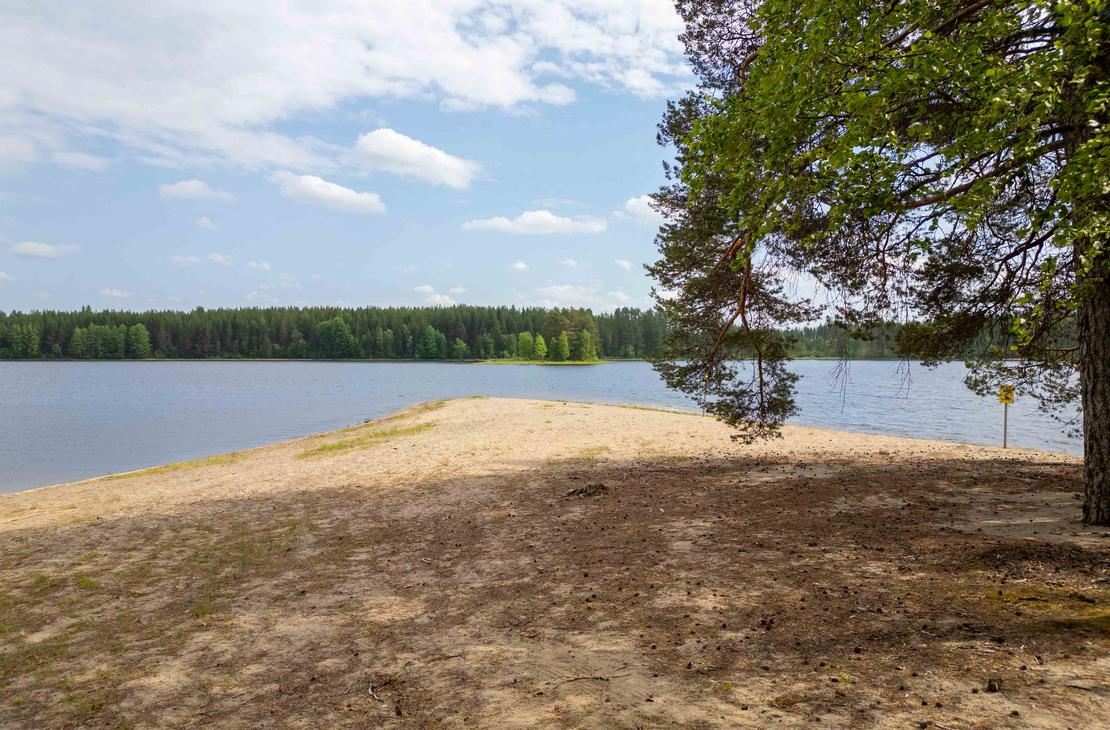 Näkymä rannalta kohti veteen työntyvää hiekkasärkkää. Taustalla siintää tyyni järvifoorumi ja vastarannan vihreä metsä. Oikealla etualalla kaartuvat männynoksat.