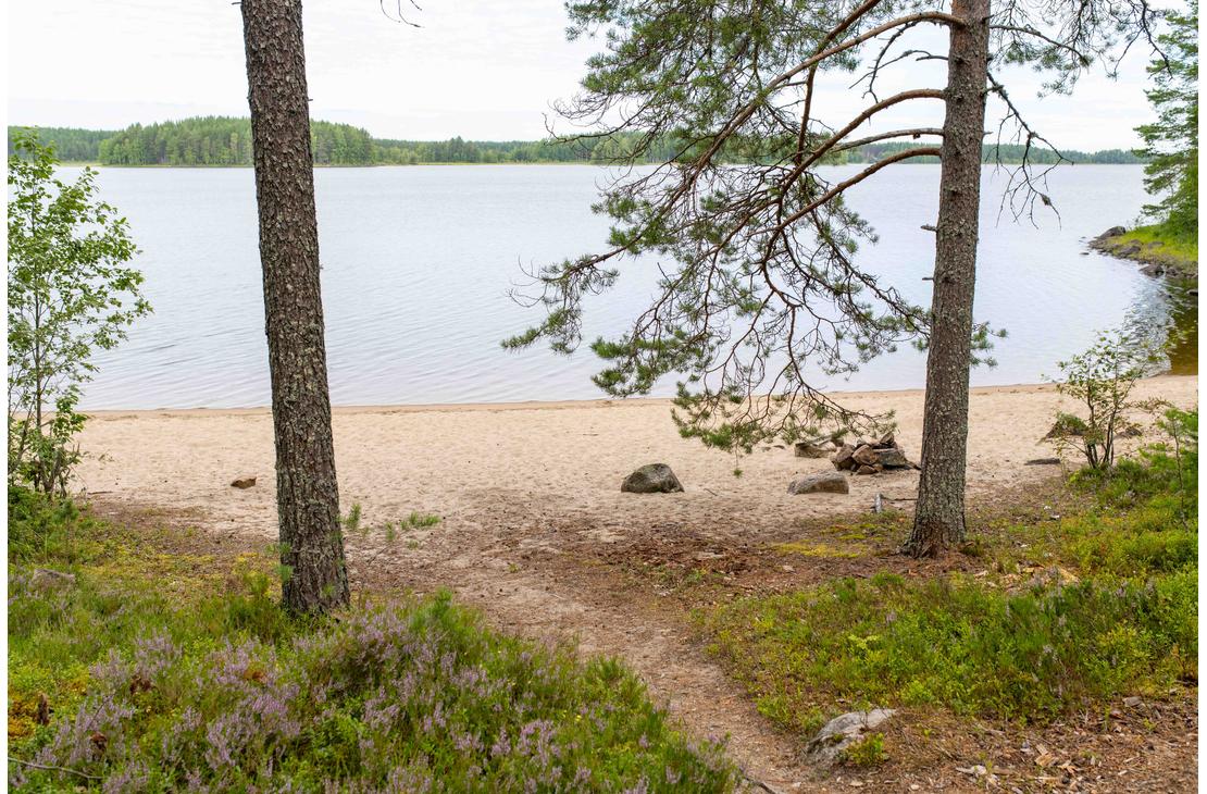 N&auml;kym&auml; kahden m&auml;nnyn rungon v&auml;list&auml; vaalealle hiekkarannalle ja tyynelle j&auml;rvelle. Etualalla on hiekkainen polku ja kanervikkoa.