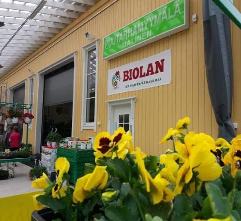 Kuva esittää kukkakaupan tai puutarhamyymälän ulkopintaa, joka on maalattu kirkkaan keltaisella laudoituksella. Etualalla näkyy suuri ruukku täynnä kirkkaan keltaisia orvokkeja tummanpunaisilla keskuksilla. Seinällä on kyltit: ylhäällä vihreällä pohjalla valkoinen teksti "PUUTARHAMYYMÄLÄ MALINEN" ja sen alla punaisella pohjalla valkoinen teksti "BIOLAN" logollaan. Vasemmalla näkyy sisäänkäynti ja viherkasveja myynnissä.