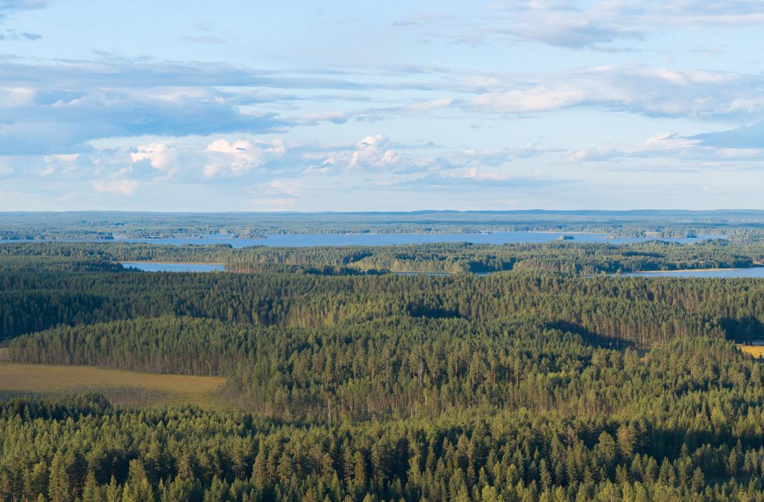 Laaja ilmapanoramakuva metsäisestä vaaramaisemasta. Tiheän havumetsän takana siintää useita sinisiä järviä ja taivaalla on keveitä pilviä.