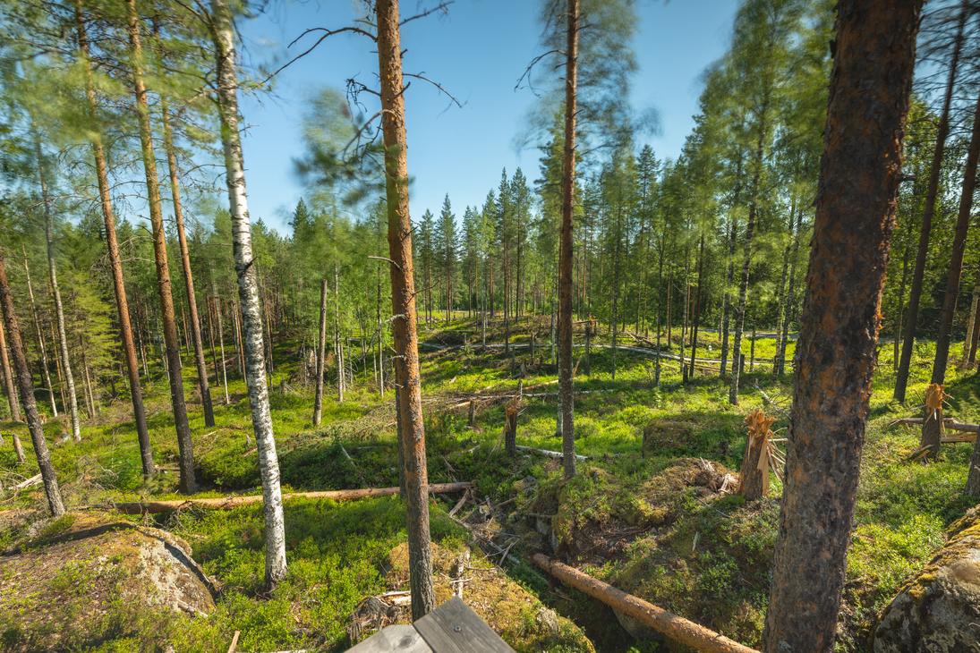 Ilomantsin Sotatien Öykkösenvaaran taistelualue.