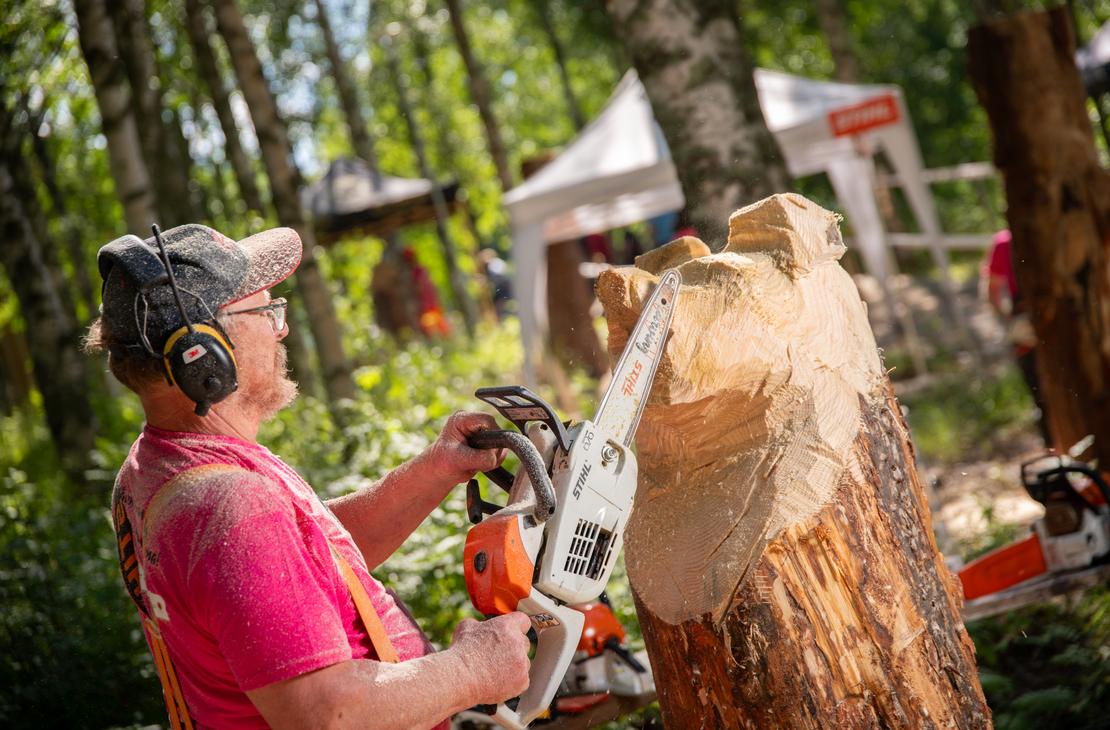 L&auml;hikuva moottorisahaveist&auml;j&auml;st&auml; ty&ouml;n touhussa ulkona aurinkoisessa, mets&auml;isess&auml; ymp&auml;rist&ouml;ss&auml;. Mies on pukeutunut kirkkaan pinkkiin paitaan ja oransseihin henkseleihin, h&auml;nell&auml; on p&auml;&auml;ss&auml;&auml;n lippalakki ja kuulonsuojaimet. H&auml;n on parhaillaan veist&auml;m&auml;ss&auml; suurta, pystyss&auml; olevaa puunrunkoa valkoisella ja oranssilla moottorisahalla. Taustalla n&auml;kyy koivumets&auml;&auml; ja valkoisia telttoja, jotka viittaavat ulkoilmatapahtumaan tai kilpailuun.