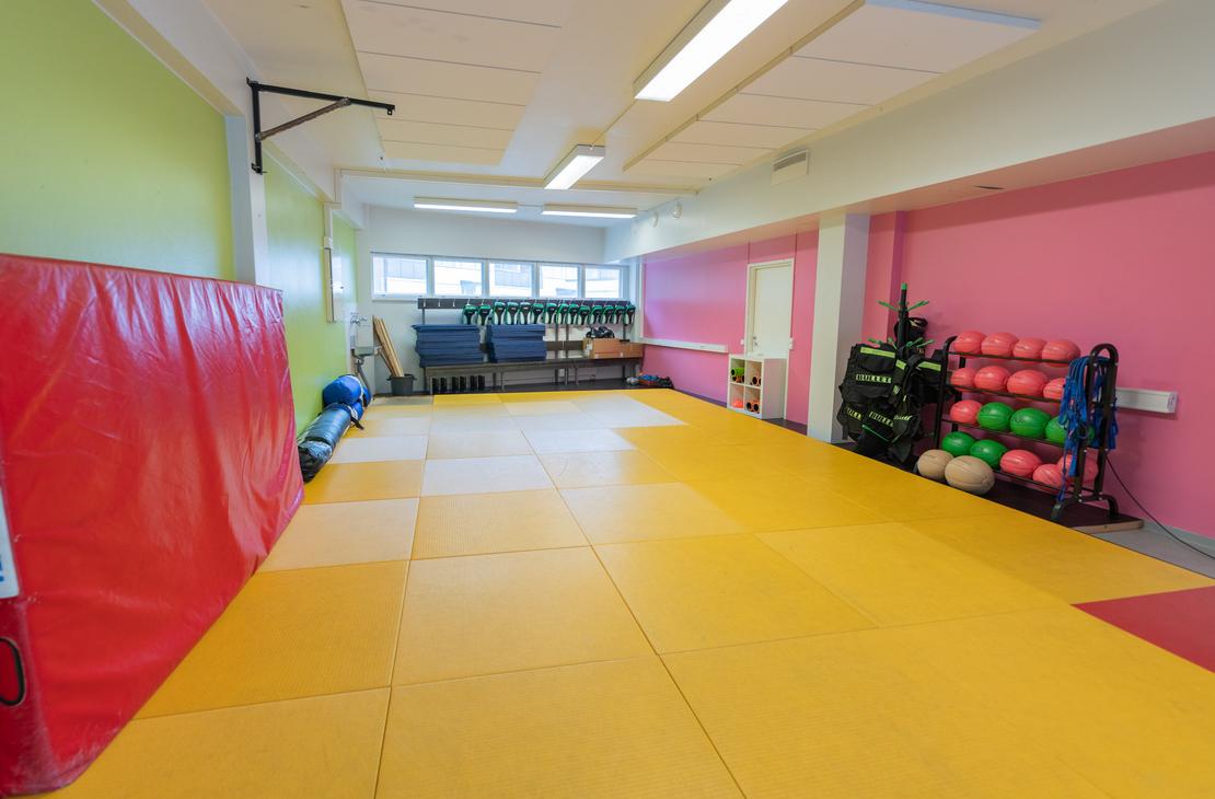 Kuva esittää Kinesiocenter Kuntoilukeskuksen tilaa, joka on tarkoitettu ryhmäliikuntaan, joogaan tai kamppailulajeihin. Lattia on peitetty suurilla, keltaisilla tatameilla tai pehmeillä matoilla. Seinät ovat maalattu kirkkaan vaaleanvihreällä ja fuksianpunaisella. Vasemmalla näkyy pystyssä suuri, punainen harjoitusmatto. Oikealla on musta teline, jossa on painopalloja (esim. vihreitä ja punaisia) sekä muita kuntovälineitä.