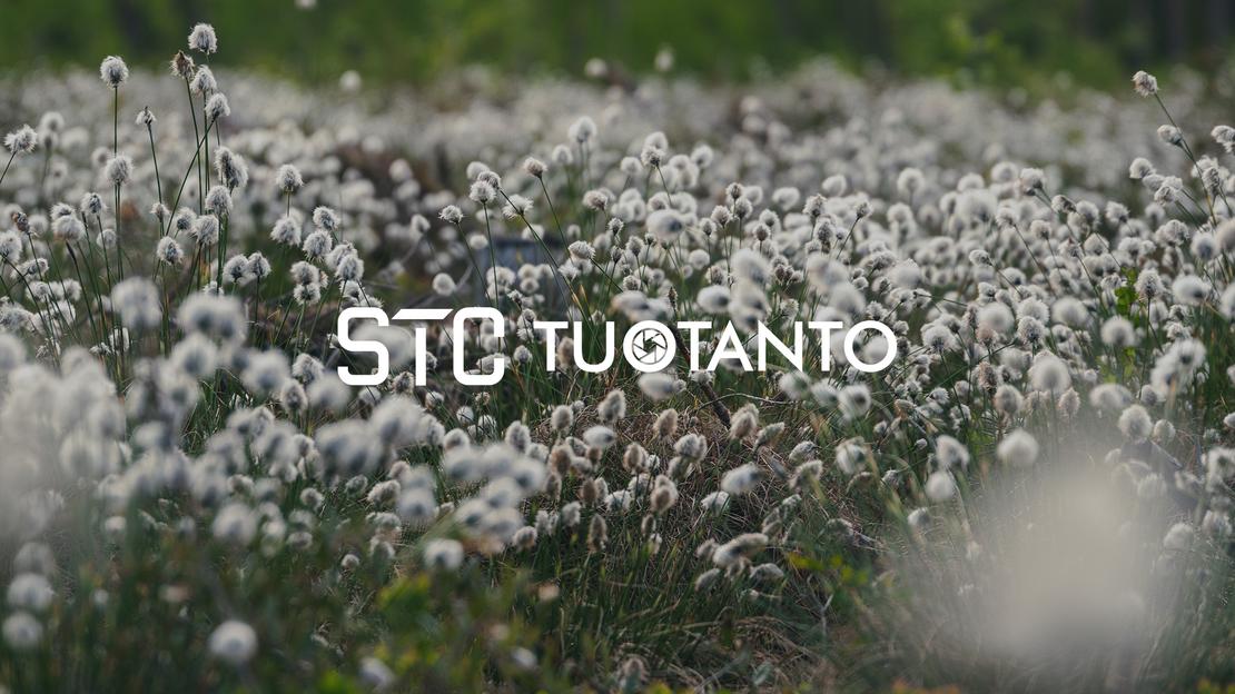 Lähikuva nevasta tai niitystä, joka on täynnä valkoisia, pörröisiä tupasvillan tai suopursun kukintoja. Kukat peittävät koko kuvan alan. Kuvan päällä lukee valkoisella, läpikuultavalla tekstillä "STC TUOTANTO", ja T-kirjainten välissä on pieni pyöreä logo.