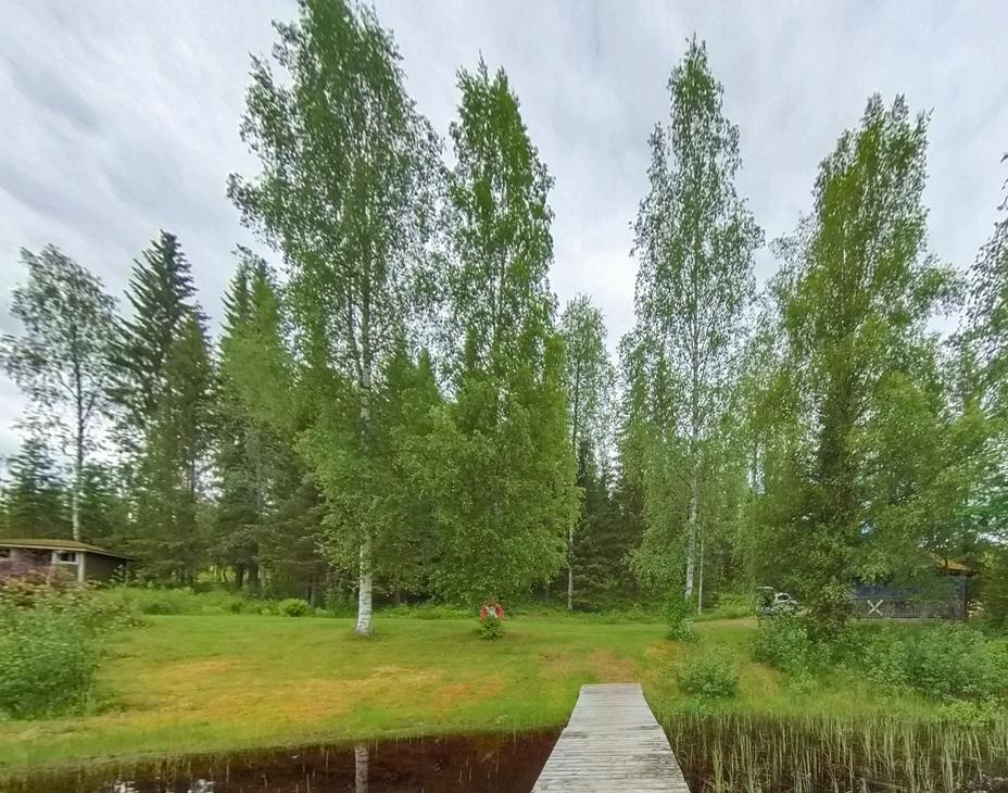 Kuva esittää kesäistä maisemaa, jossa puinen laituri ulottuu etualalla tummaan veteen. Laiturilta avautuu näkymä vihreälle nurmialueelle, jota reunustavat korkeat, hoikat koivut ja taempana tiheämpi sekametsä. Taivas on pilvinen, ja nurmikolla koivujen välissä näkyy pieni, ruskea rakennelma tai esine.
