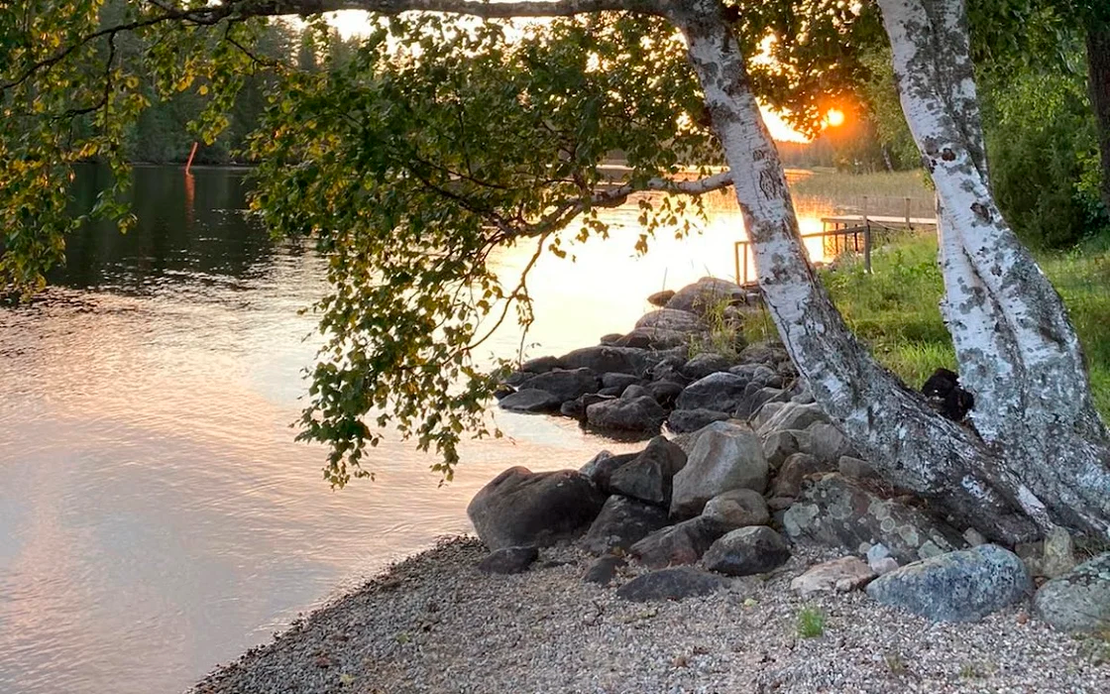 Kuva esittää Havukkarannan rantamaisemaa auringonlaskun aikaan. Etualalla on kivinen ranta ja kaksi hoikkaa, valkoista koivunrunkoa, joiden lehdet roikkuvat kuvan yläreunassa. Vesi on tyyni ja heijastaa pehmeää, kultaista auringonvaloa. Taustalla auringonlasku näkyy puiden välistä. Rantaviiva on kivetty ja maassa on soraa.