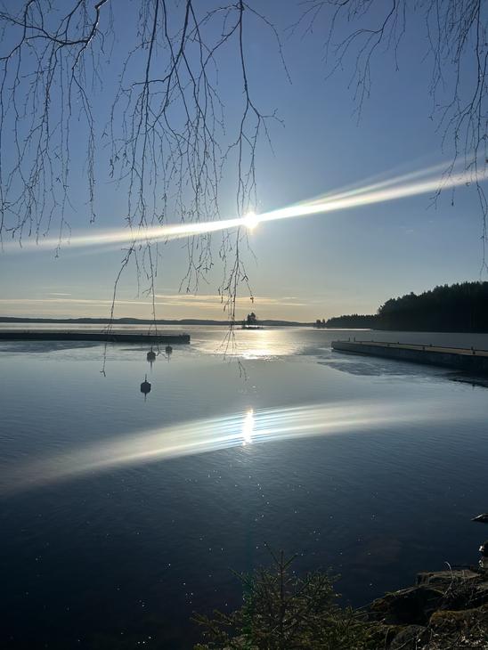 Maisemakuva tyynestä järvestä, jonka pinnasta aurinko heijastuu kirkkaana. Rannassa näkyy puun oksia ja veden pinnalla kelluvia poijuja.