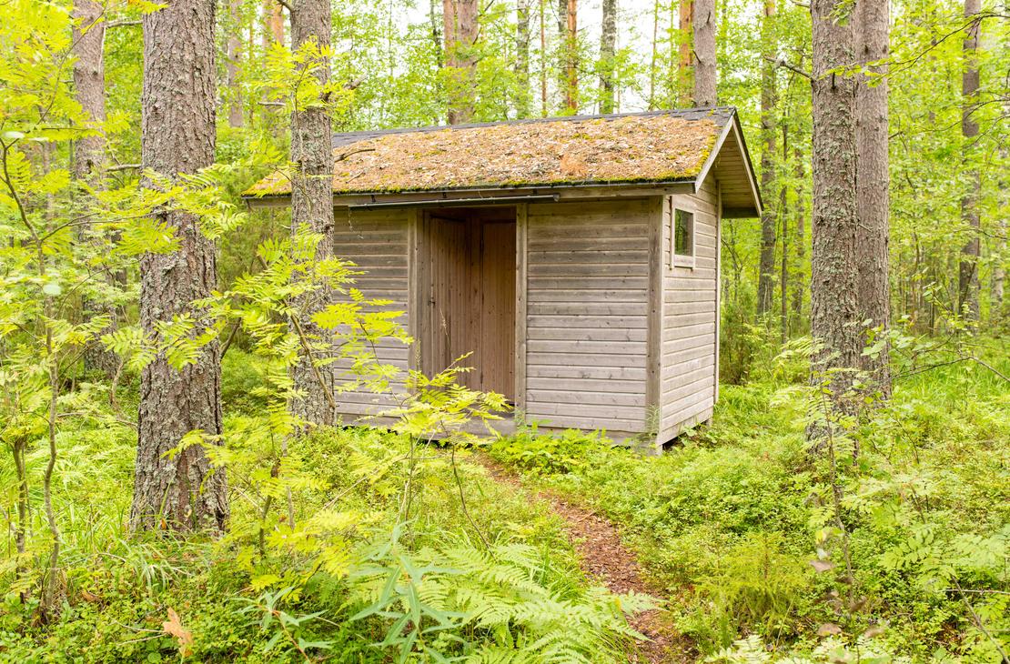 Pieni, harmaa puinen ulkorakennus tai kuivakäymälä tiheän vihreän metsän ja saniaisten keskellä. Rakennukseen johtaa kapea polku.
