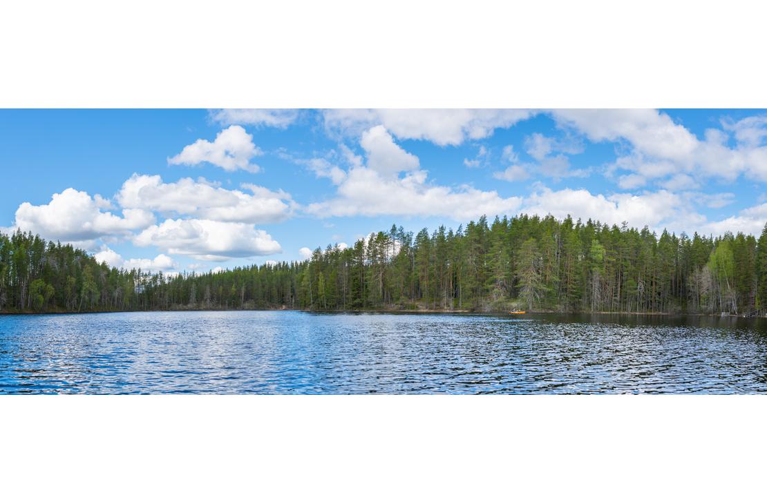 Laaja panoraamakuva, joka esittää Petkeljärvi Centerin aluetta ja sen lähiympäristöä aurinkoisena päivänä. Etualalla on sininen järvenpinta, ja sen vastarannalla on tiheä, tummanvihreä metsä, joka ulottuu horisonttiin. Taivaalla on kirkas sininen väri ja muutama hajanainen, valkoinen pilvi. Maisema on tyypillinen Petkeljärven kansallispuiston järvialueelle.