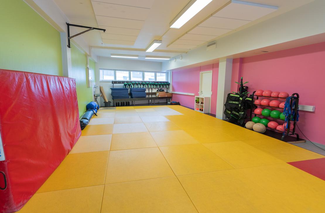 Kuva esitt&auml;&auml; Kinesiocenter Kuntoilukeskuksen tilaa, joka on tarkoitettu ryhm&auml;liikuntaan, joogaan tai kamppailulajeihin. Lattia on peitetty suurilla, keltaisilla tatameilla tai pehmeill&auml; matoilla. Sein&auml;t ovat maalattu kirkkaan vaaleanvihre&auml;ll&auml; ja fuksianpunaisella. Vasemmalla n&auml;kyy pystyss&auml; suuri, punainen harjoitusmatto. Oikealla on musta teline, jossa on painopalloja (esim. vihreit&auml; ja punaisia) sek&auml; muita kuntov&auml;lineit&auml;.