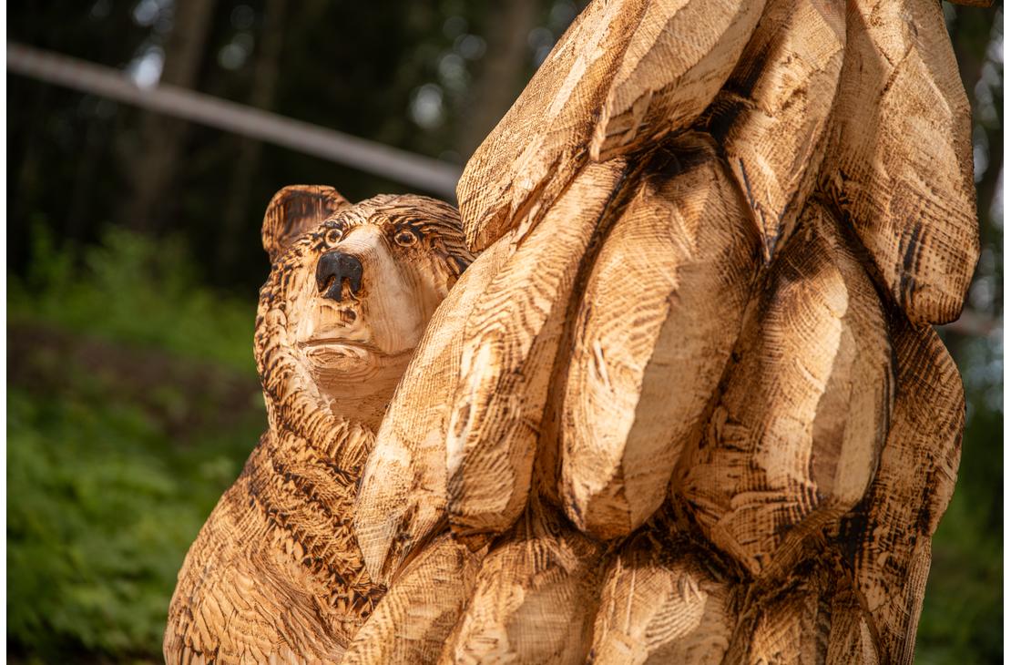 L&auml;hikuva moottorisahalla veistetyst&auml; karhupatsaasta. Patsas on veistetty puusta, ja sen pinta on j&auml;tetty osittain karkeaksi ja osittain poltettu tummemmaksi yksityiskohtien korostamiseksi (esim. karhun turkki). Karhun ilme on tarkkaavainen, ja se kurkistaa suuren, karkeasti veistetyn esineen takaa. Taustalla n&auml;kyy ep&auml;tarkkana vihre&auml;&auml; kasvillisuutta ja puita.