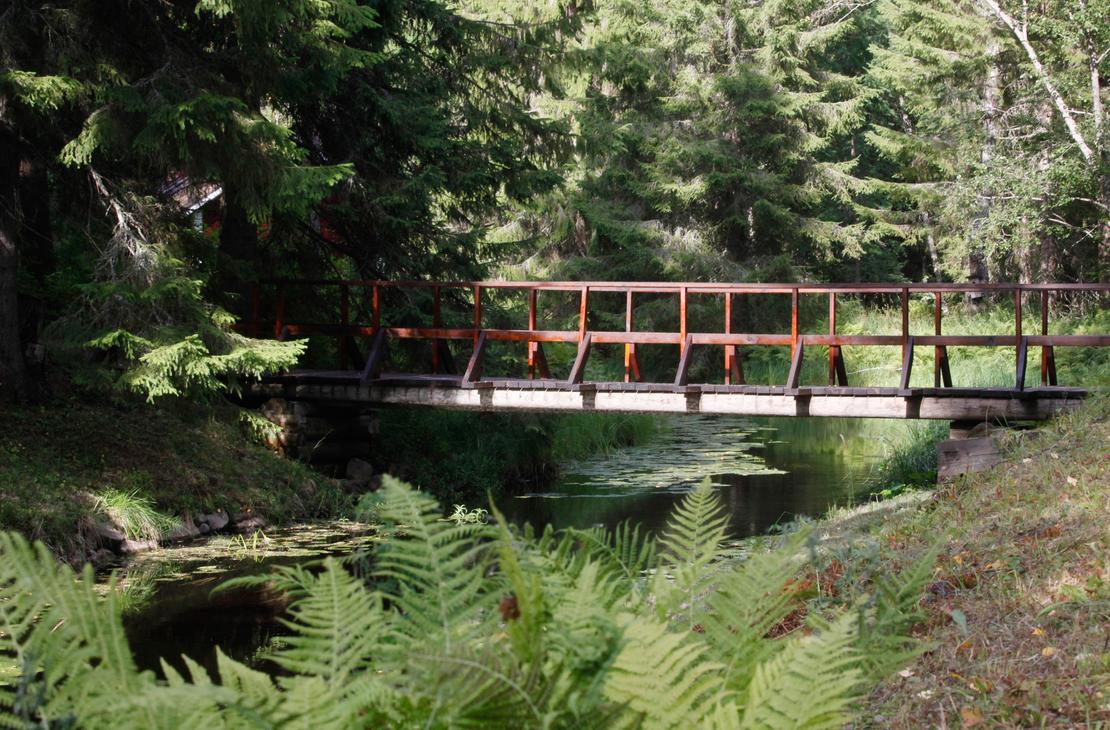 Ruskea puinen silta ylittää kapean puron Möhkön ruukkimuseon vehreässä metsämaisemassa. Etualalla kasvaa saniaisia ja veden pinnalla kelluu lumpeenlehtiä.