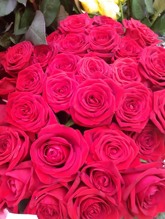 L&auml;hikuva Kukkakauppa Kein&auml;nen KY:n myym&auml;st&auml; suuresta, tiiviist&auml; punaisesta ruusukimpusta. Ruusut ovat avautuneita ja niiss&auml; on tummanpunainen s&auml;vy. Kimpun yl&auml;osassa n&auml;kyy pieni&auml; vihreit&auml; lehti&auml; ja taustalla erottuu himme&auml;sti muutama keltainen kukka.