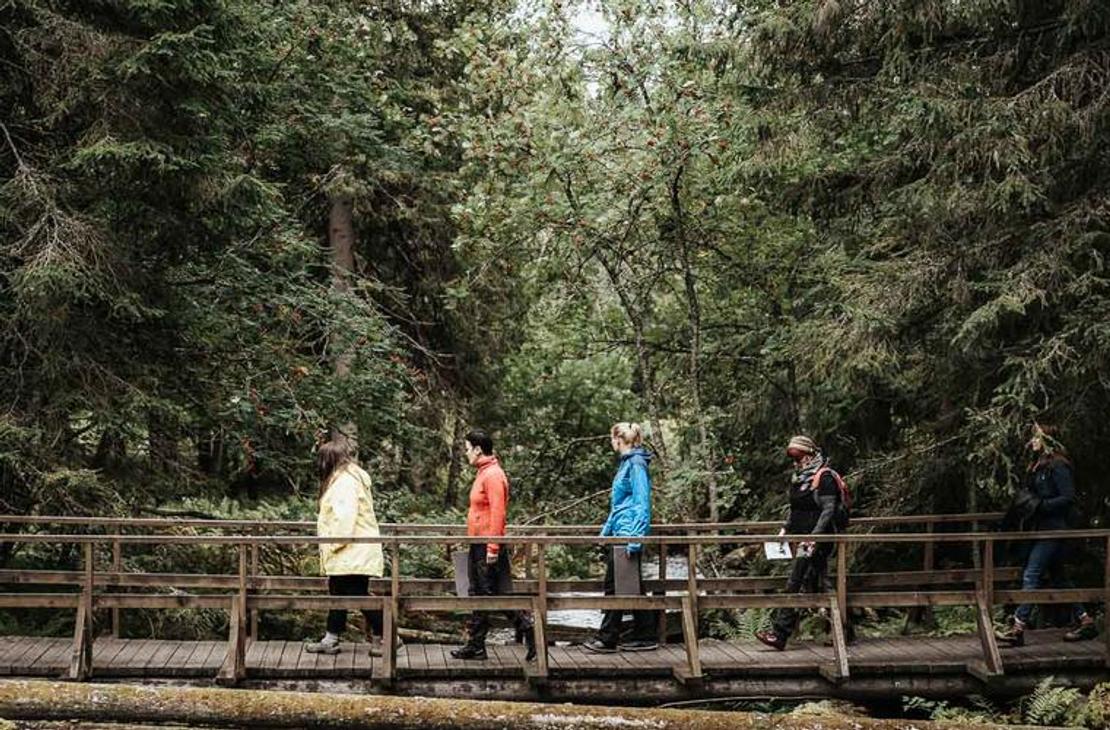 Ryhmä viisi retkeilijää kävelee vasemmalta oikealle puisen sillan tai pitkospuiden yli metsäisessä maisemassa. Henkilöt ovat pukeutuneet värikkäisiin ulkoiluasuihin: keltaiseen, oranssiin, siniseen ja tummiin takkeihin. Silta ylittää epämääräisen vesistön tai maaston. Taustalla on tiheä, tummanvihreä havu- ja sekametsä.