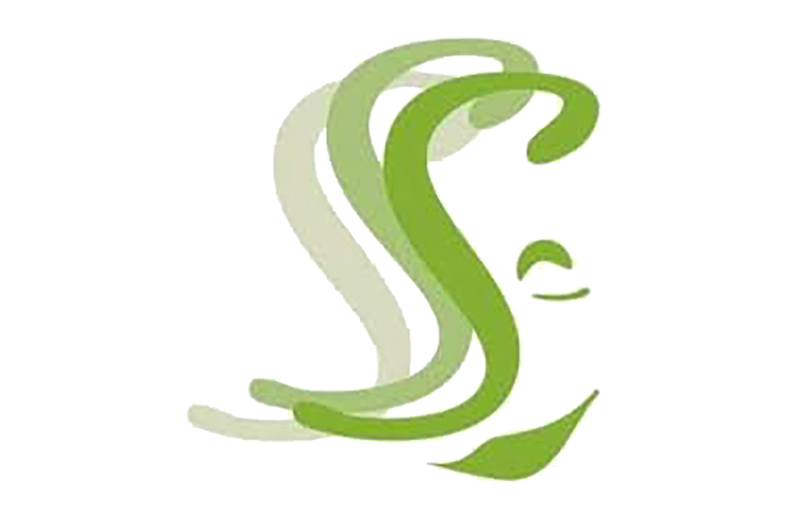 Parturi-kampaamo Soili Heiskanen -yrityksen logo. Logossa on tyylitelty, abstrakti kasvojen ääriviivapiirros, joka on luotu päällekkäisistä S-kirjaimista eri vihreän sävyissä (vaaleanvihreästä kirkkaaseen). S-kirjaimet symboloivat hiuksia tai hiusten liikettä. Oikealla erottuu osa kasvonpiirteistä, kuten silmä ja suu. Logo on valkoisella taustalla.