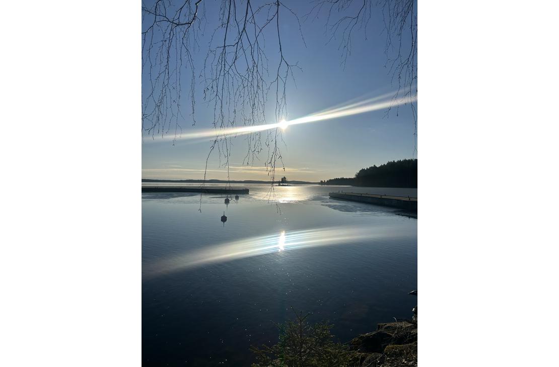 Maisemakuva tyynestä järvestä, jonka pinnasta aurinko heijastuu kirkkaana. Rannassa näkyy puun oksia ja veden pinnalla kelluvia poijuja.