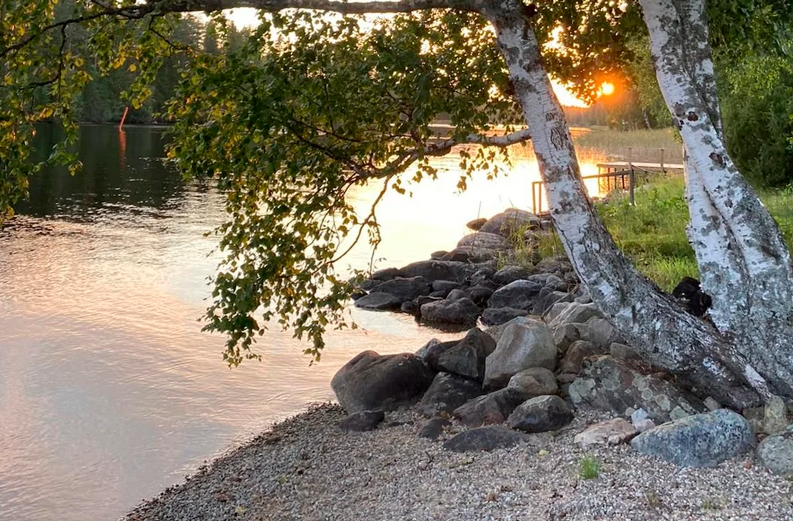 Kuva esitt&auml;&auml; Havukkarannan rantamaisemaa auringonlaskun aikaan. Etualalla on kivinen ranta ja kaksi hoikkaa, valkoista koivunrunkoa, joiden lehdet roikkuvat kuvan yl&auml;reunassa. Vesi on tyyni ja heijastaa pehme&auml;&auml;, kultaista auringonvaloa. Taustalla auringonlasku n&auml;kyy puiden v&auml;list&auml;. Rantaviiva on kivetty ja maassa on soraa.