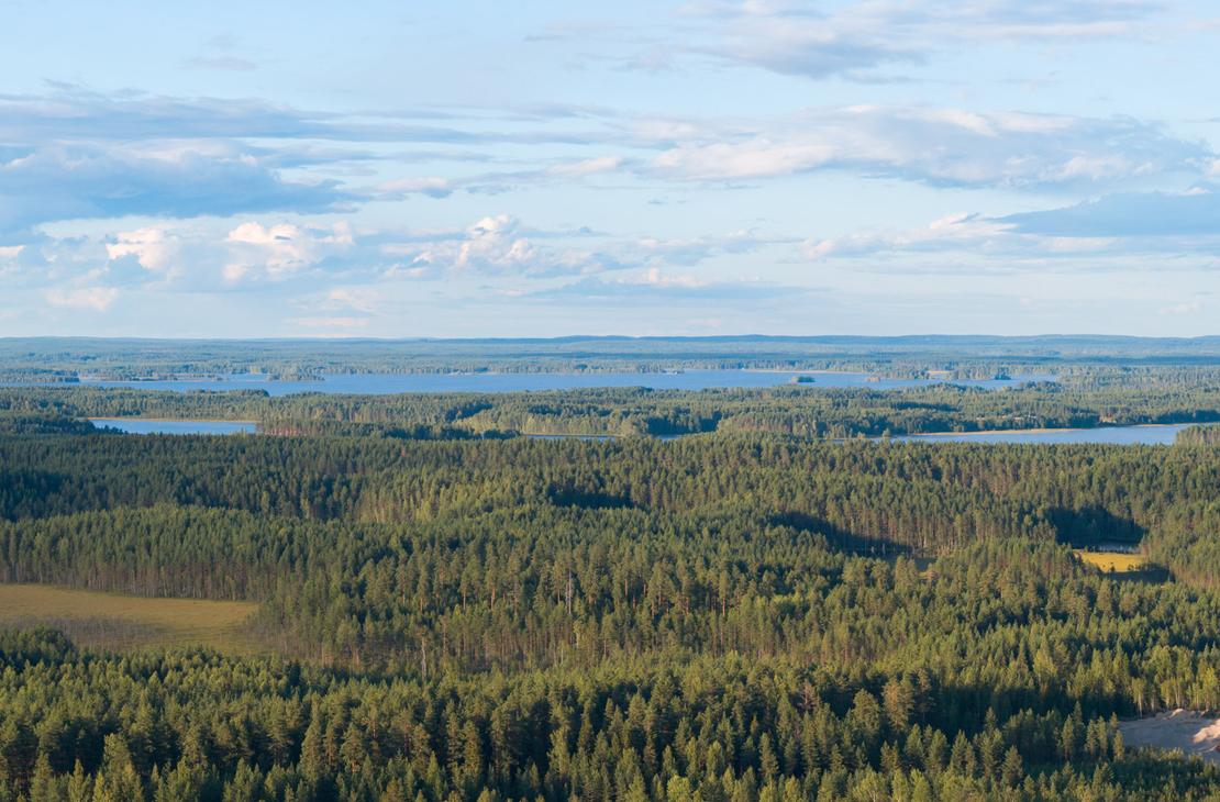 Laaja ilmapanoramakuva metsäisestä vaaramaisemasta. Tiheän havumetsän takana siintää useita sinisiä järviä ja taivaalla on keveitä pilviä.