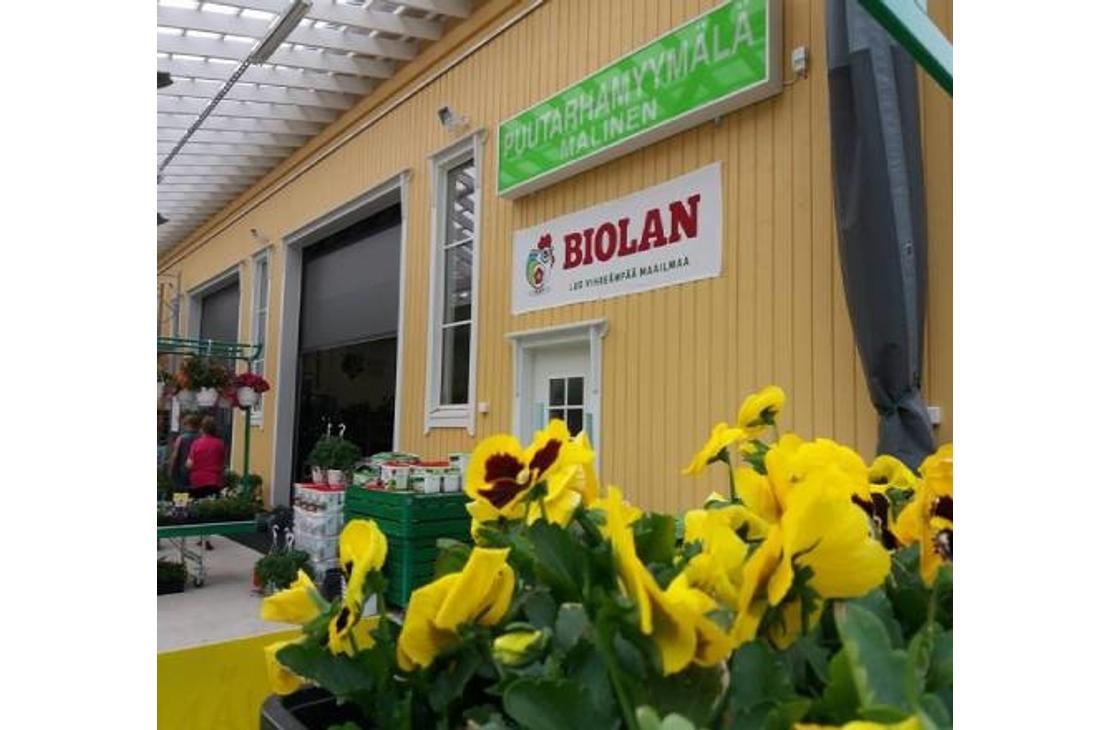 Kuva esittää kukkakaupan tai puutarhamyymälän ulkopintaa, joka on maalattu kirkkaan keltaisella laudoituksella. Etualalla näkyy suuri ruukku täynnä kirkkaan keltaisia orvokkeja tummanpunaisilla keskuksilla. Seinällä on kyltit: ylhäällä vihreällä pohjalla valkoinen teksti "PUUTARHAMYYMÄLÄ MALINEN" ja sen alla punaisella pohjalla valkoinen teksti "BIOLAN" logollaan. Vasemmalla näkyy sisäänkäynti ja viherkasveja myynnissä.