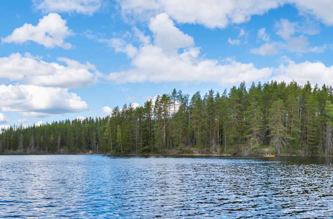 Laaja panoraamakuva, joka esittää Petkeljärvi Centerin aluetta ja sen lähiympäristöä aurinkoisena päivänä. Etualalla on sininen järvenpinta, ja sen vastarannalla on tiheä, tummanvihreä metsä, joka ulottuu horisonttiin. Taivaalla on kirkas sininen väri ja muutama hajanainen, valkoinen pilvi. Maisema on tyypillinen Petkeljärven kansallispuiston järvialueelle.