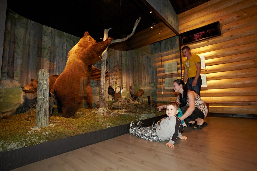 Lapsi ja vanhemmat tarkastelevat täytettyä karhua ja metsälintuja lasiseinän takana luontonäyttelyssä. Pieni poika makaa lattialla hymyillen vanhempiensa edessä hirsiseinäisessä tilassa.